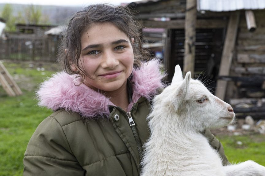 finances made a goat find a home in Romania