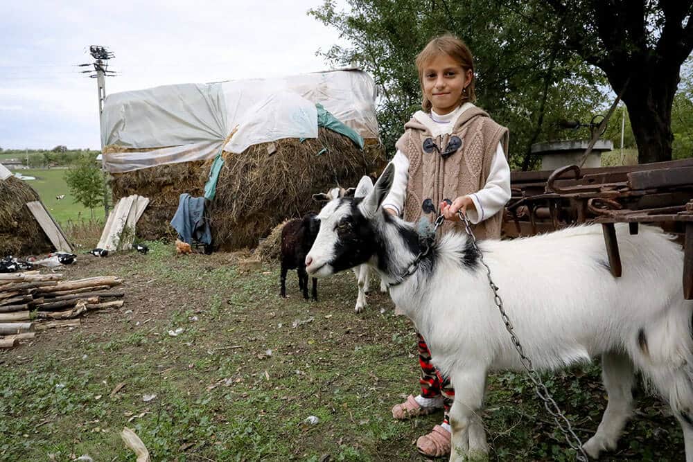 Star of Hope Getterna är ett väldigt bra stöd för oss flicka med get