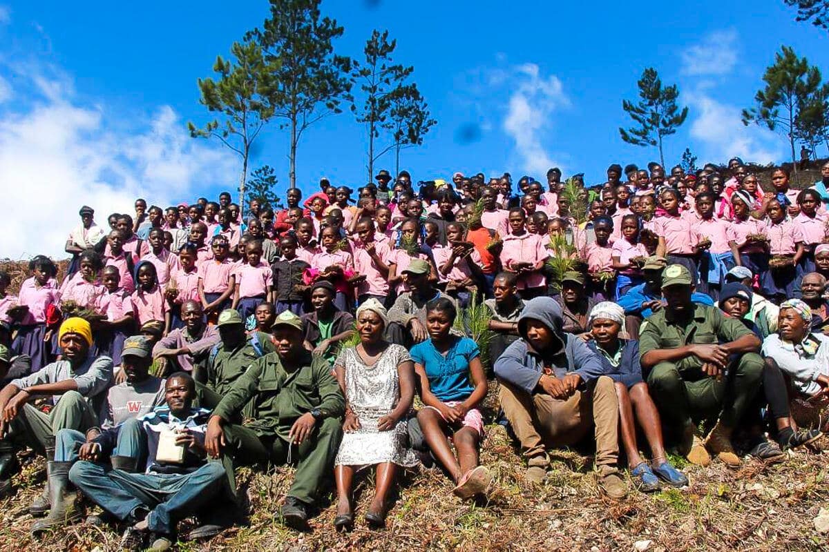 Star of hope Trädplantering i Haiti träd 10