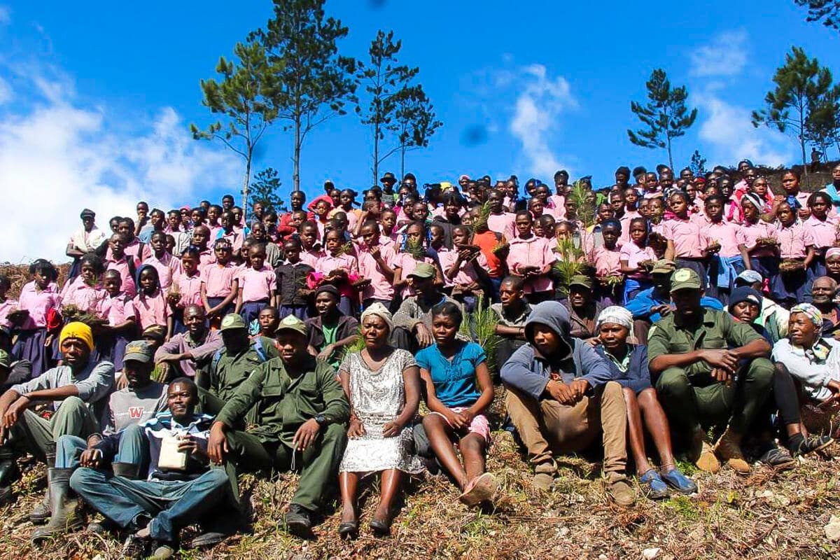 Star of Hope Trädplantering i Haiti träd 10