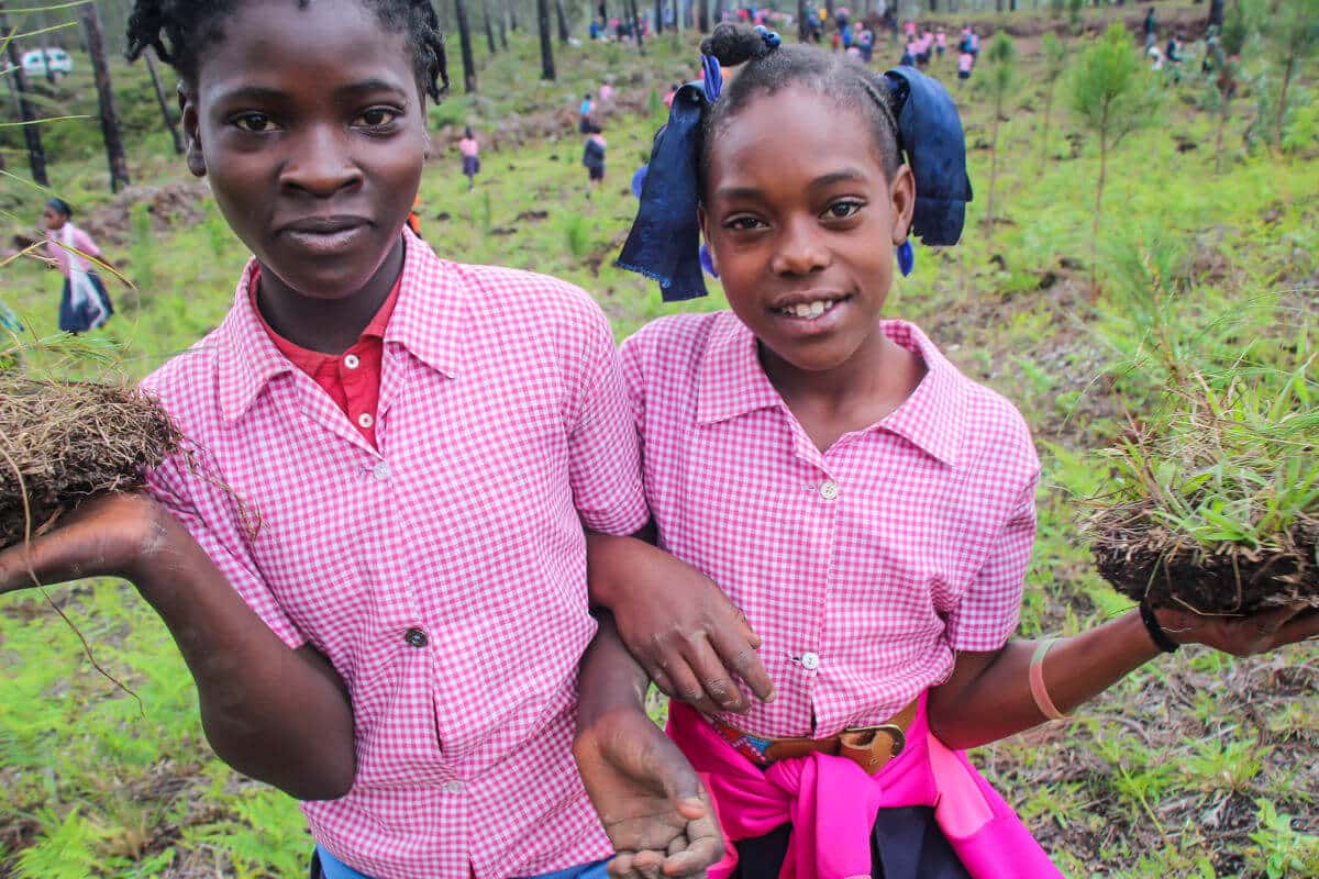 Star of hope Trädplantering i Haiti träd 4