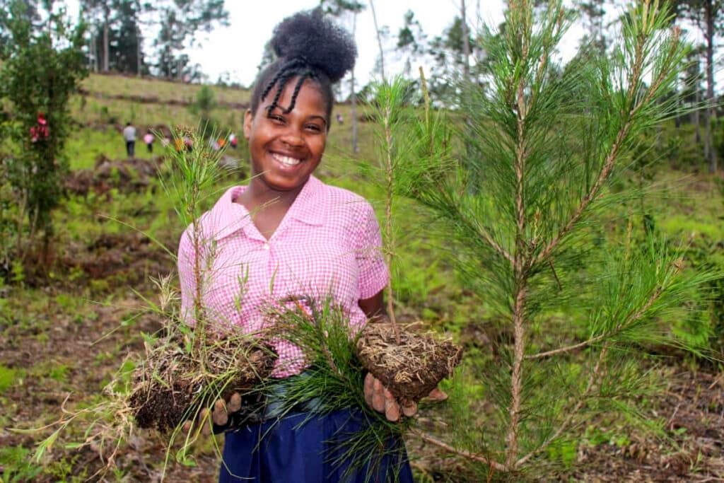 Star of Hope SE Trädplantering i Haiti träd 5
