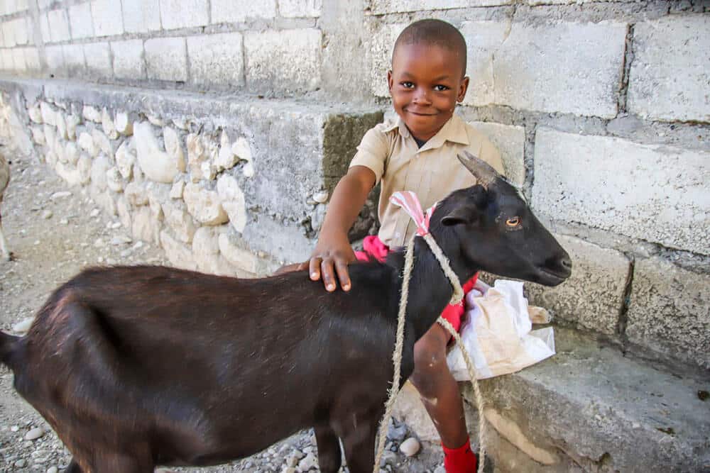 Star of Hope Ny succé för getkampanjen! 201802 HA Boyer goat pojke