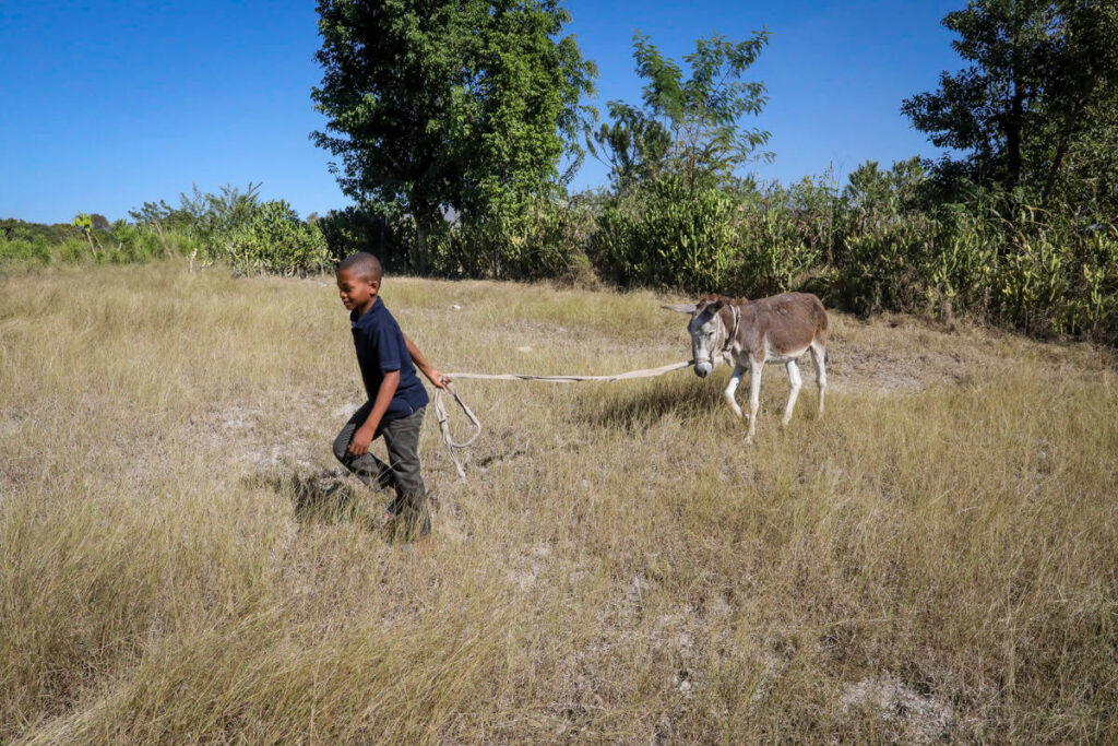 Star of Hope Placide i Haiti Placide 3