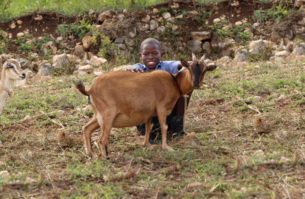 Star of Hope Gåvan som ger ringar på vattnet prevener with goat