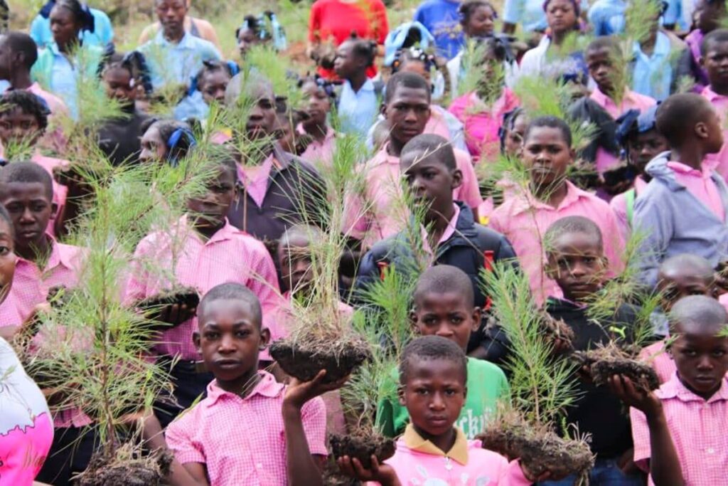 Star of hope Nya träd planterade i Haiti tree 2018 1