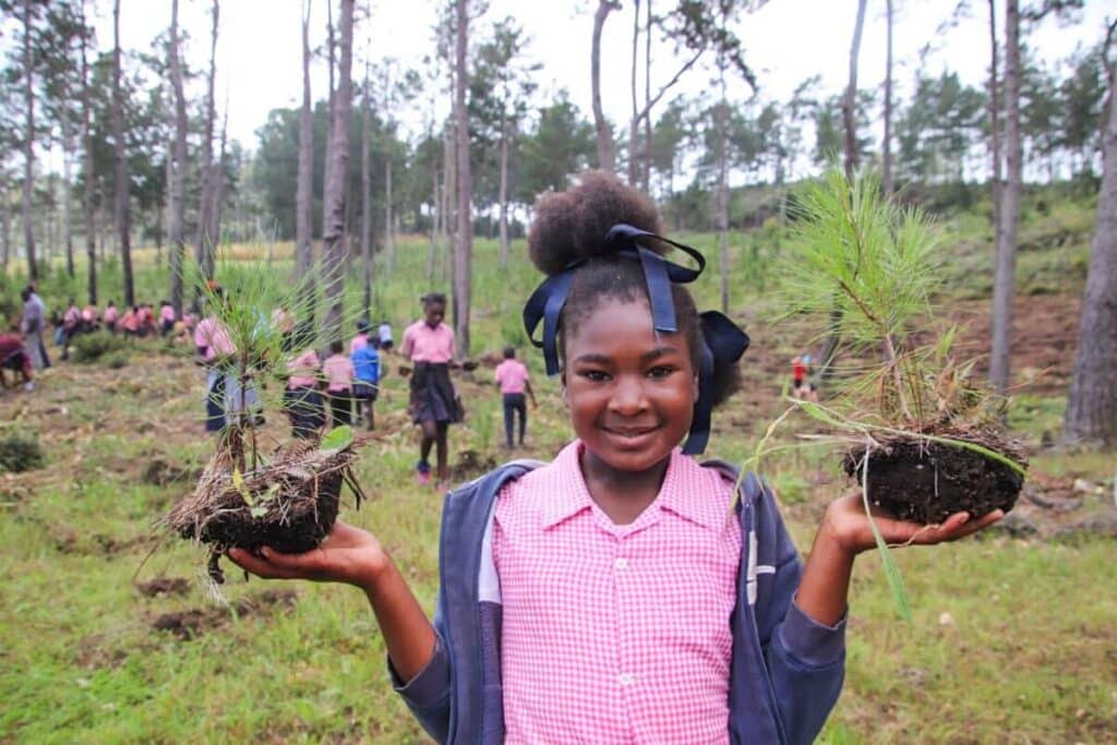 Star of Hope Nya träd planterade i Haiti tree 2018 3