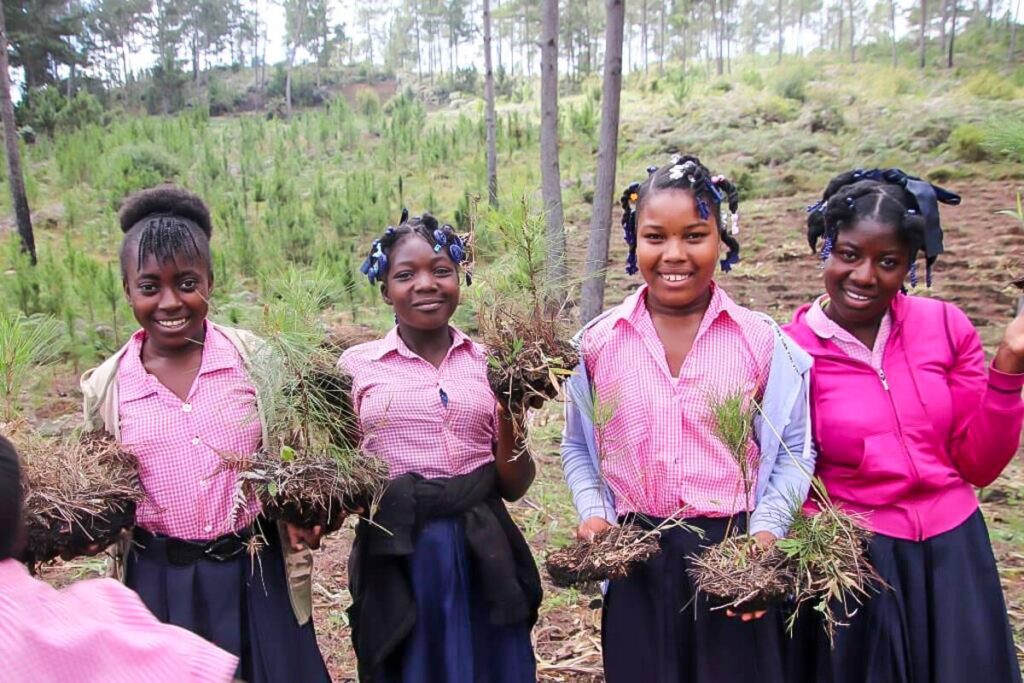 Nya träd planterade i Haiti 32 Star of Hope SE Nya träd planterade i Haiti tree 2018 4