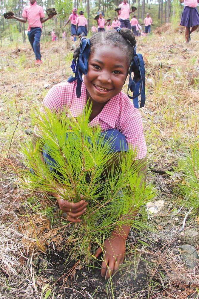 Star of hope Var med och få Haiti att grönska igen! flicka med tradplanta 1