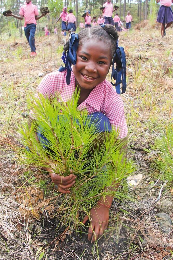 Star of Hope Var med och få Haiti att grönska igen! flicka med tradplanta 1