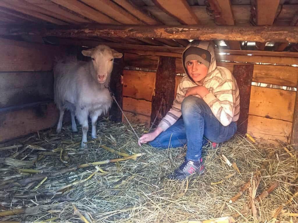 Star of Hope SE Återrapport "levande gåvor" levande gava 1