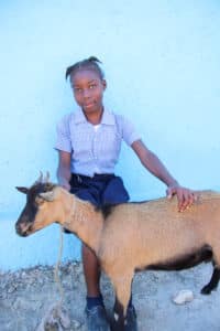 Star of hope Utdelning av levande gåvor! 202203 RO Hesse Goat 021 scaled 1