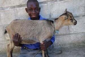Star of Hope Utdelning av levande gåvor! one goat 1