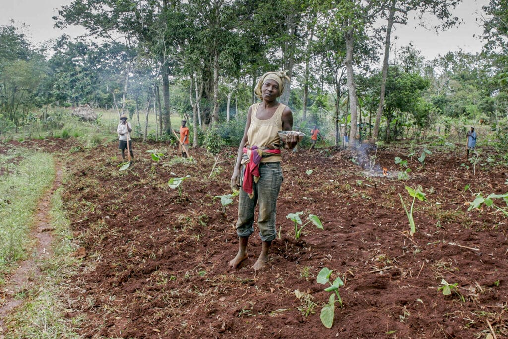 Star of Hope SE Var med när svälten odlas bort i Haiti Hemsida 2