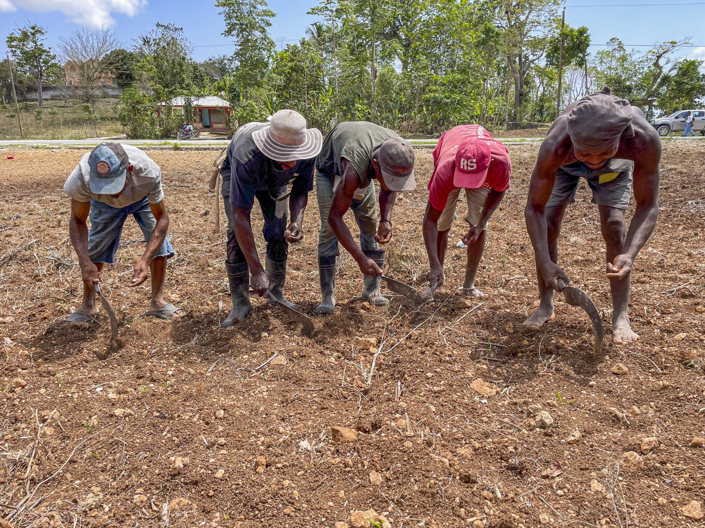 Star of Hope Var med när svälten odlas bort i Haiti Hemsida 4