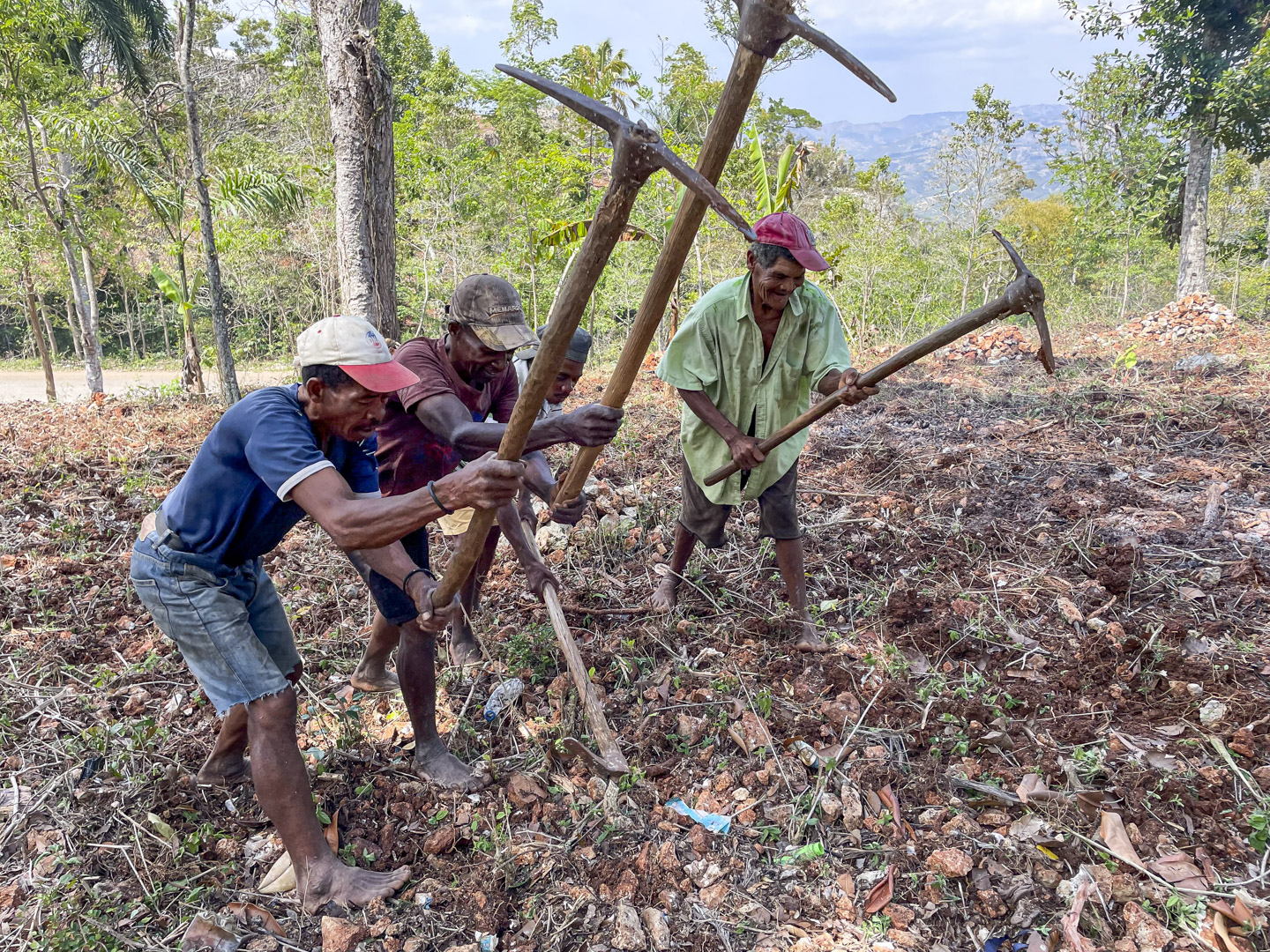 Star of Hope Var med när svälten odlas bort i Haiti Hemsida 5