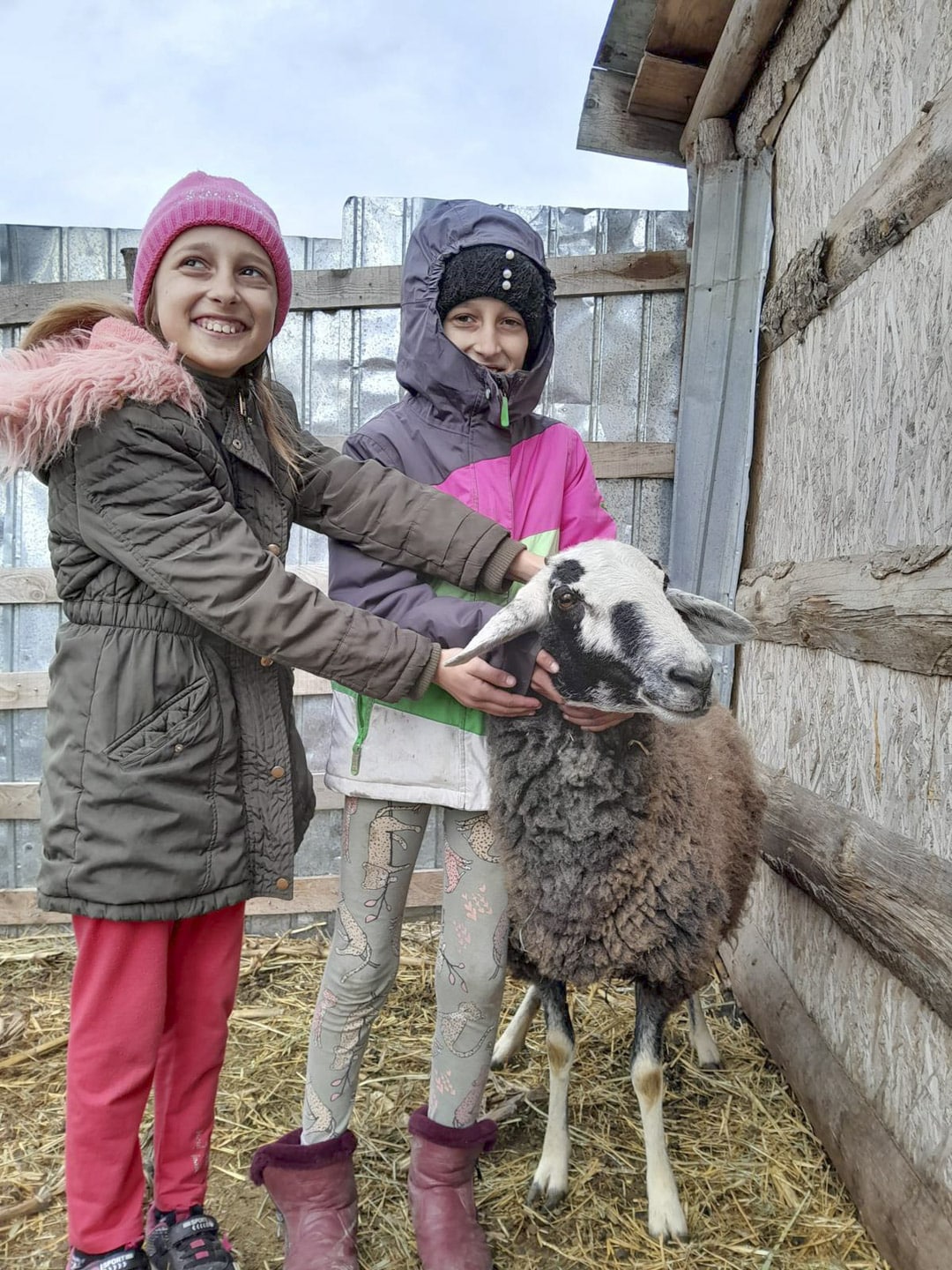 Två barn med ett får i Rumänien.