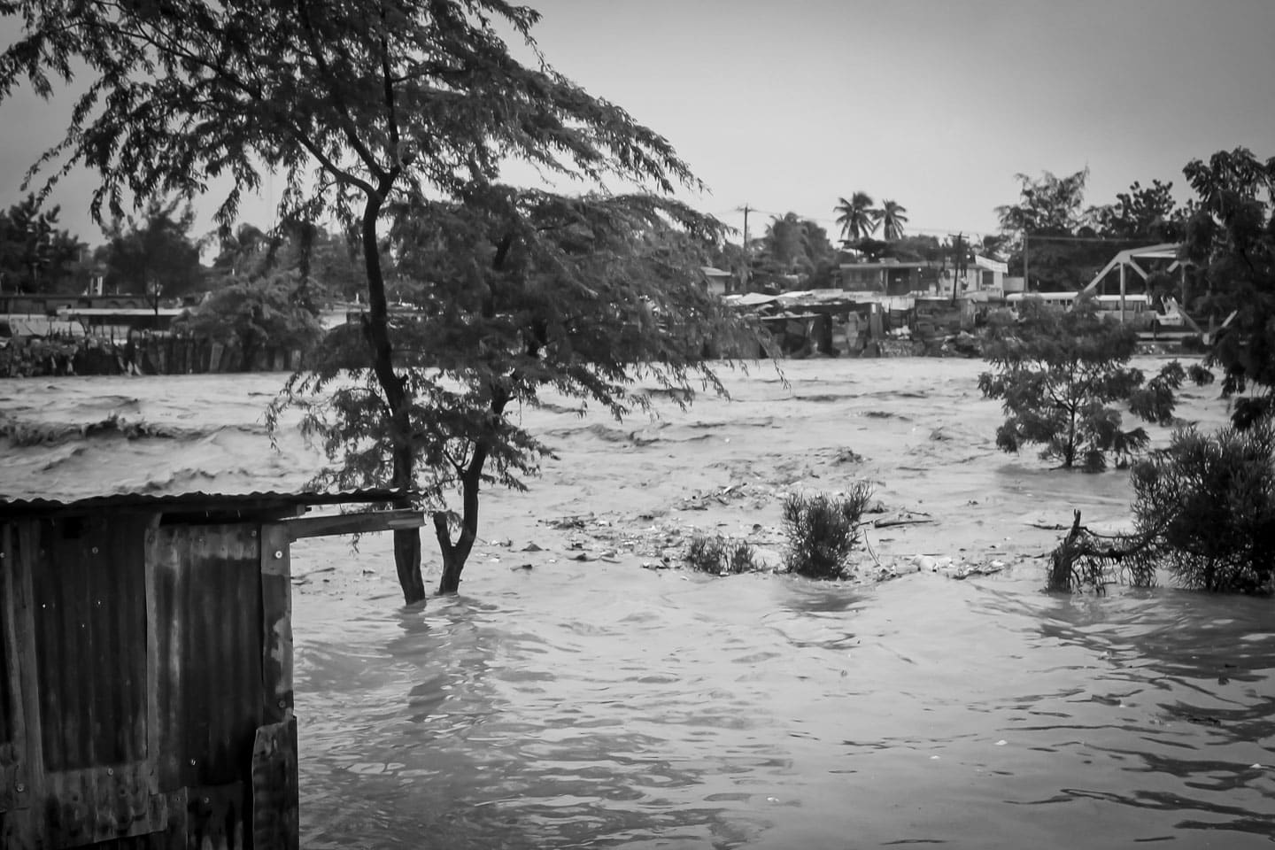 Star of Hope SENASTE NYTT FRÅN ÖVERVÄMNINGS-KATASTROFEN I HAITI Haiti small 6