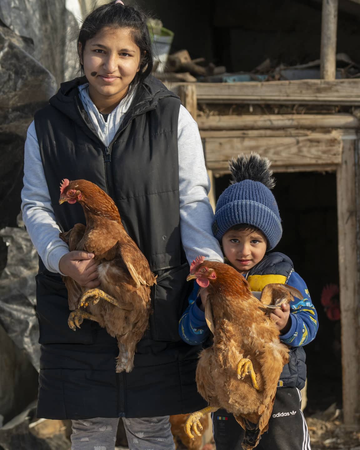 Pojke och flicka med hönor i Rumänien.