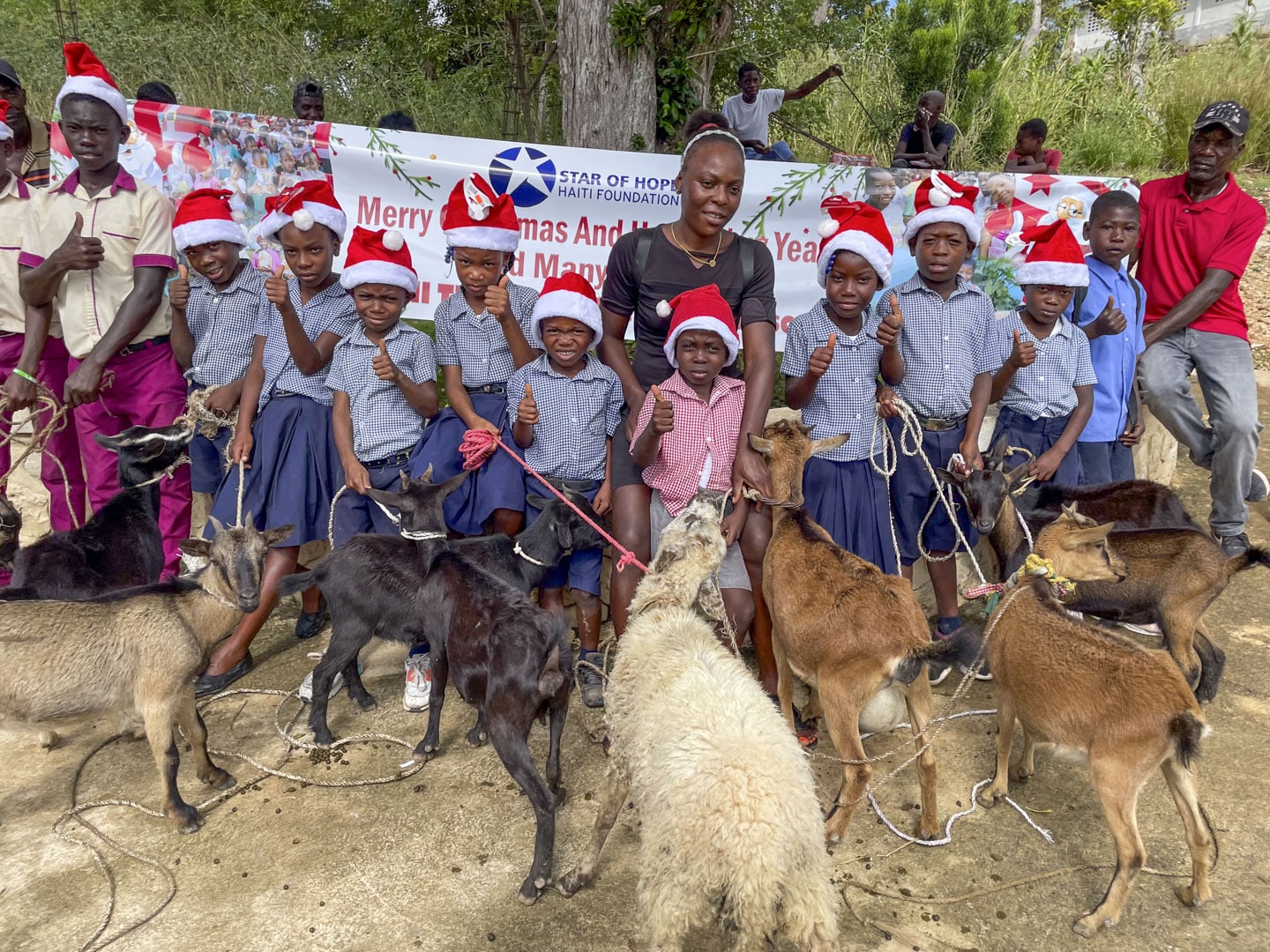 barn med getter i Haiti