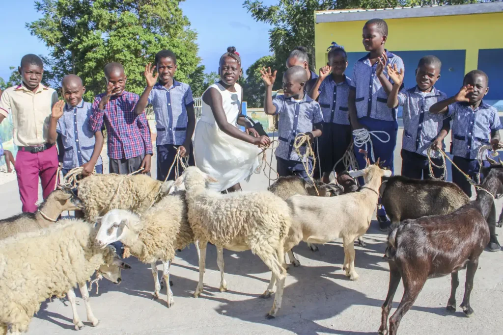 Star of Hope SE Kärlek vid första ögonkastet Levande Gavor 2024 001 kopiera