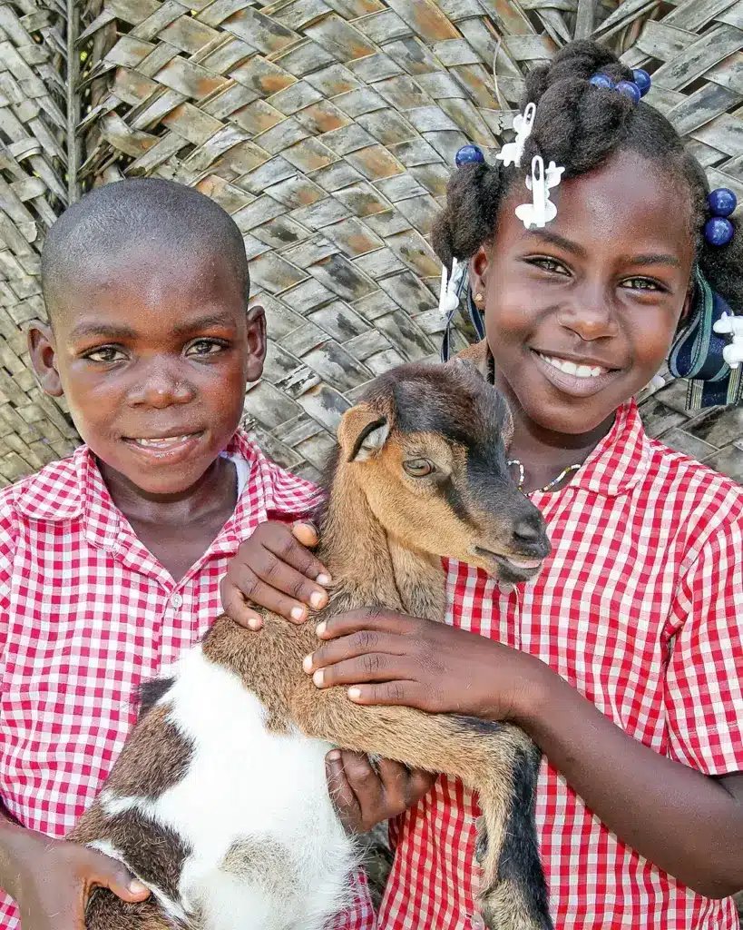 Star of Hope SE Årets Julklapp get jul