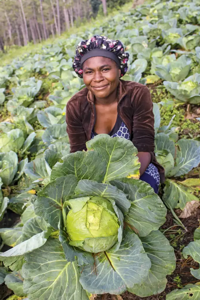 Star of Hope SE Djur lyser upp Haitis mörker Nov 3 kopiera