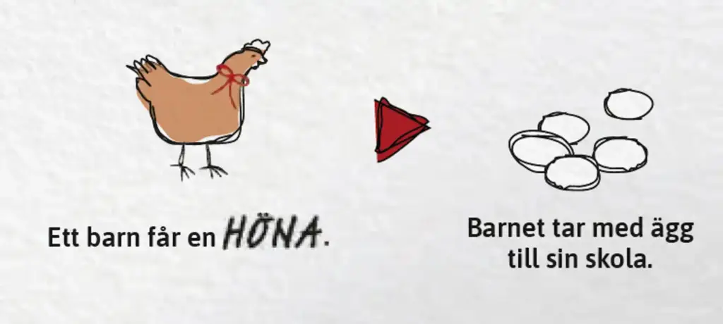 Star of Hope SE Djur lyser upp Haitis mörker Nov 6 kopiera