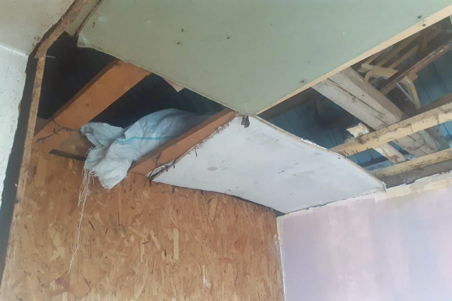 Star of Hope SE Gåvorna gav Alinas familj ett nytt hem alina Old 2