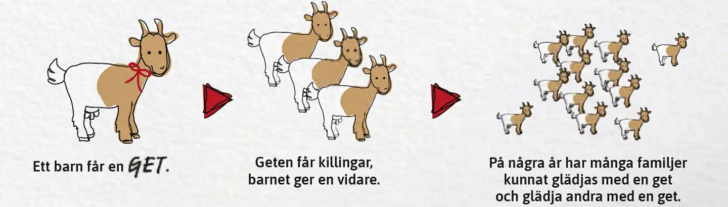 Återrapport levande gåvor 2025 30 Star of Hope SE Återrapport levande gåvor 2025 Nov 5 kopia kopiera