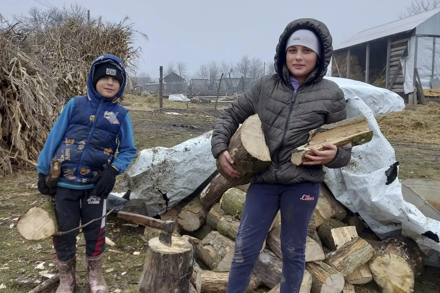Vedutdelning i Östeuropa 32 Vedutdelning i till utsatta i östeuropa