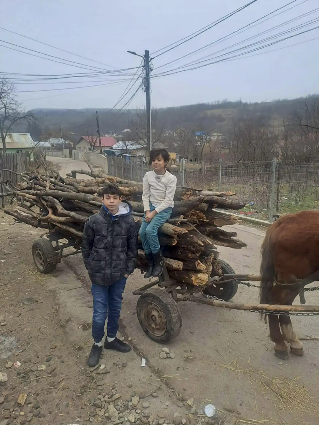 Vedutdelning i Östeuropa 33 Vedutdelning i till utsatta i östeuropa